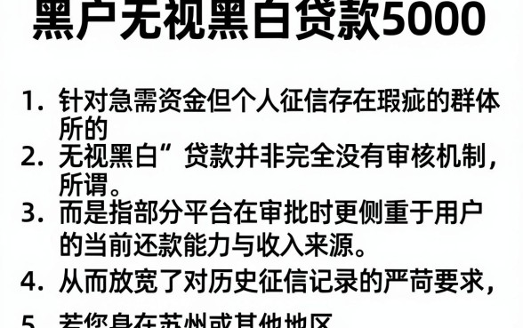 黑户无视黑白贷款5000，概括五个苏州黑户贷款5万的软件