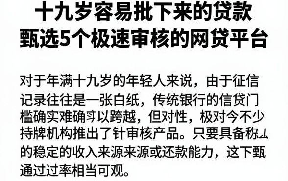 十九岁容易批下来的贷款,甄选5个极速审核的网贷平台