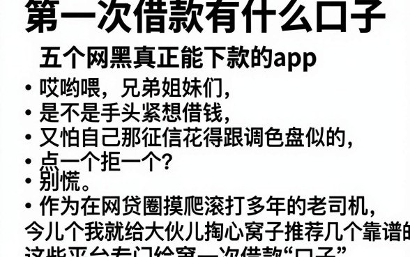 第一次借款有什么口子,归纳五个网黑真正能下款的app