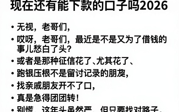 现在还有能下款的口子吗2026，枚举五个无视一切包下1万的贷款