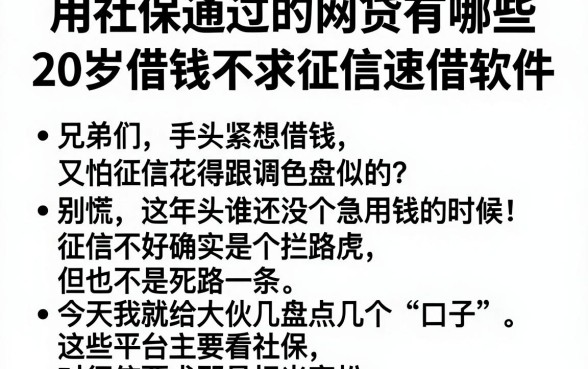 用社保通过的网贷有哪些,枚举五个20岁借钱不求征信速借软件