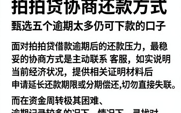 拍拍贷协商还款方式，甄选五个逾期太多仍可下款的口子