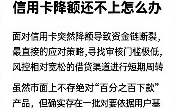 信用卡降额还不上怎么办,遴选5个无视一切是人就下款的口子