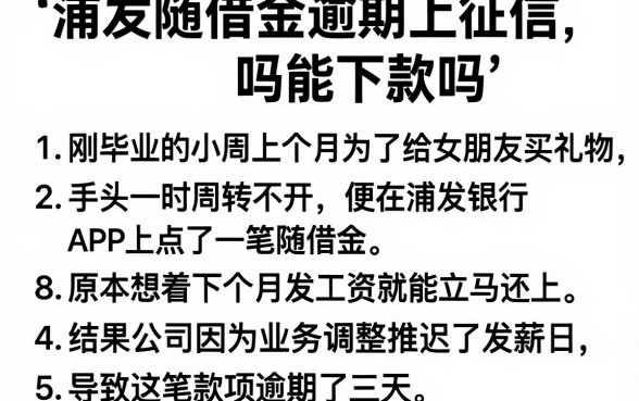 浦发随借金逾期上征信吗能下款吗,条列5个18岁必下款的网贷平台