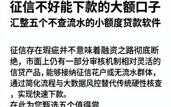 征信不好能下款的大额口子,汇整五个不查流水的小额度贷款软件