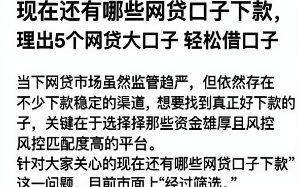 现在还有哪些网贷口子下款,理出5个网贷大口子轻松借口子
