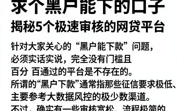 求个黑户能下的口子,揭秘5个极速审核的网贷平台