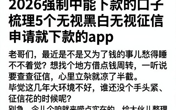 2026强制中能下款的口子，梳理5个无视黑白无视征信申请就下款的app