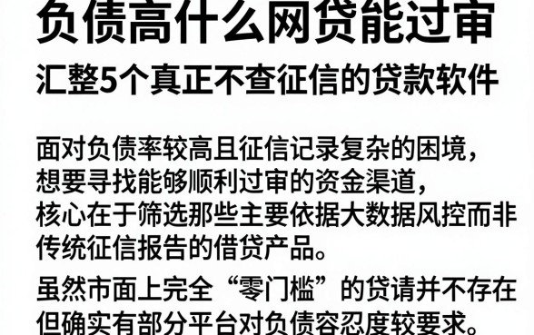 负债高什么网贷能过审，汇整5个真正不查征信的贷款软件