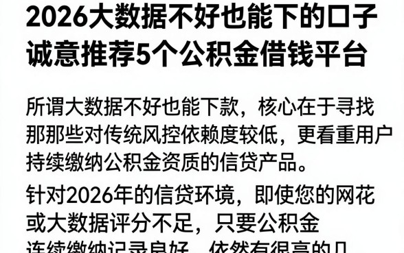 2026大数据不好也能下的口子，诚意推荐5个公积金借钱平台