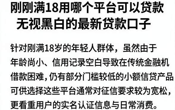 刚刚满18用哪个平台可以贷款，筛选五个无视黑白的最新贷款口子