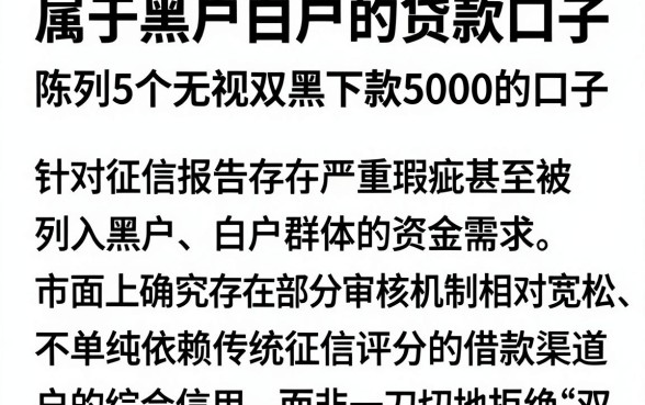 属于黑户白户的贷款口子,陈列5个无视双黑下款5000的口子