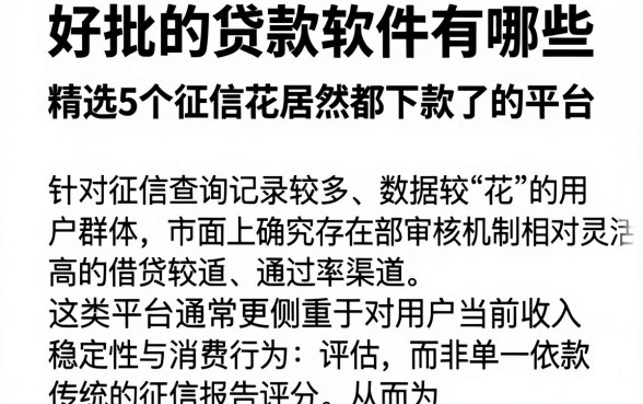 好批的贷款软件有哪些,精选5个征信花居然都下款了的平台