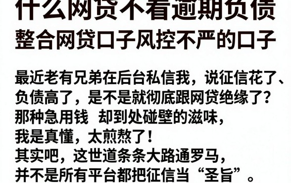 什么网贷不看逾期负债,整合五个网贷口子风控不严的口子