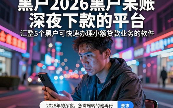 黑户2026黑户呆账深夜下款的平台，汇整5个黑户可快速办理小额贷款业务的软件