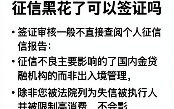 征信黑花了可以签证吗，汇总5个手机和身份证快速借钱平台