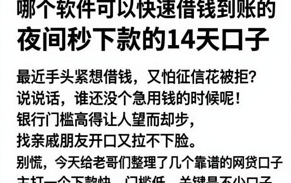 哪个软件可以快速借钱到账的,整理五个夜间秒下款的14天口子