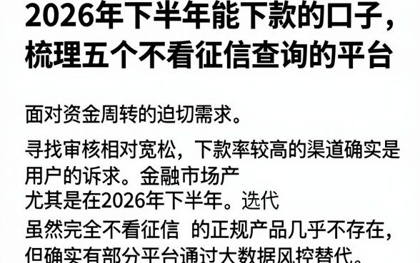 2026年下半年能下款的口子，梳理五个不看征信查询的平台
