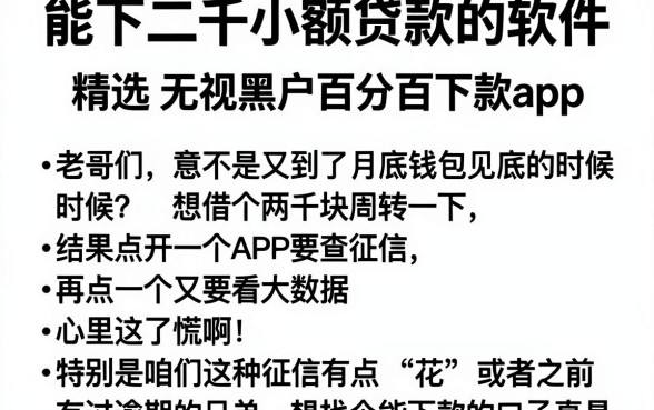 能下二千小额贷款的软件,精选五个无视黑户百分百下款app