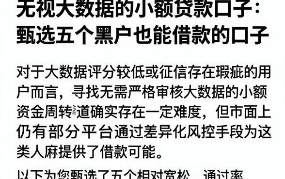 无视大数据的小额贷款口子,甄选五个黑户也能借款的口子