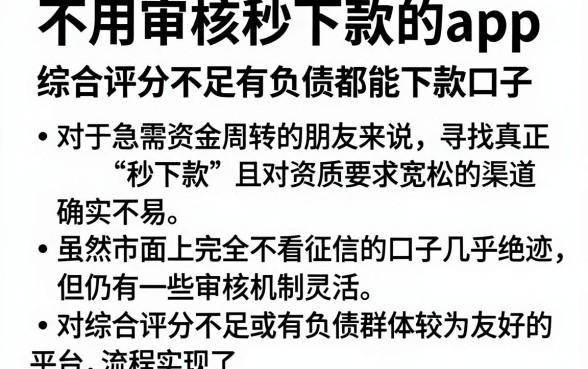 不用审核秒下款的app,整理五个综合评分不足有负债都能下款口子