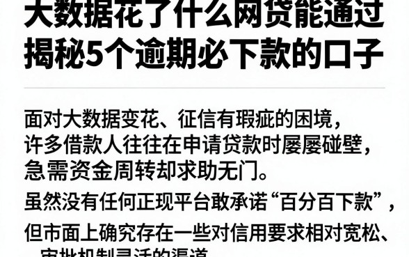 大数据花了什么网贷能通过，揭秘5个逾期必下款的口子