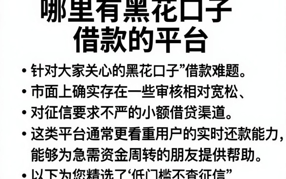 哪里有黑花口子借款的平台，归纳五个低门槛不查征信的软件