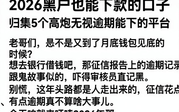 2026黑户也能下款的口子,归集5个高炮无视逾期能下的平台