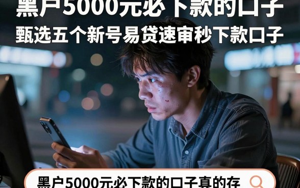 黑户5000元必下款的口子,甄选五个新号易贷速审秒下款口子
