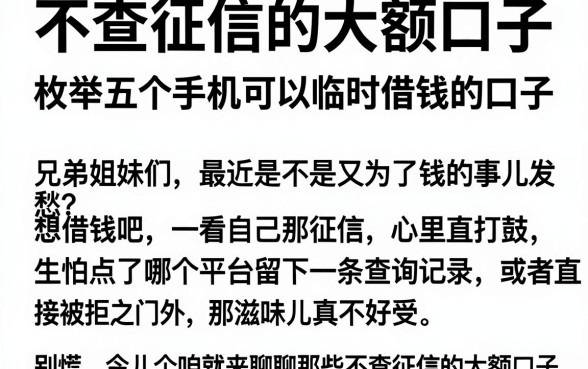 不查征信的大额口子，枚举五个手机可以临时借钱的口子