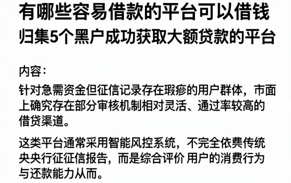 有哪些容易借款的平台可以借钱,归集5个黑户成功获取大额贷款的平台