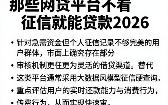 那些网贷平台不看征信就能贷款2026，整合五个金融创新秒下不要芝麻分的软件
