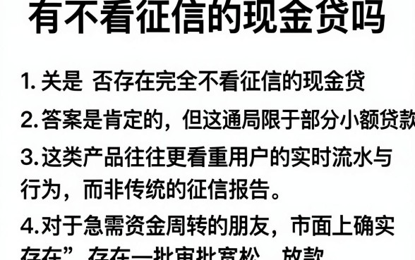 有不看征信的现金贷吗,条列五个最新秒批小额贷款软件