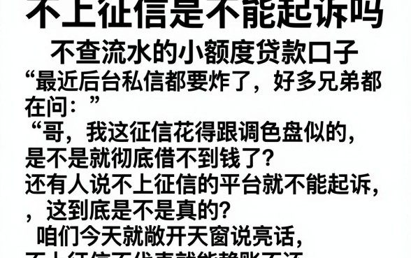 不上征信是不能起诉吗,枚举5个不查流水的小额度贷款口子