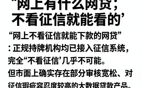 网上有什么网贷不看征信就能看的,整理五个网贷黑户必过软件