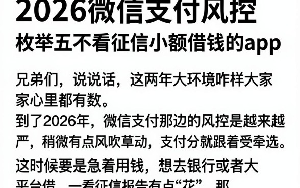 2026微信支付风控,枚举五个不看征信小额借钱的app