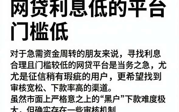 网贷利息低的平台 门槛低,陈列五个黑户成功获取大额贷款的软件