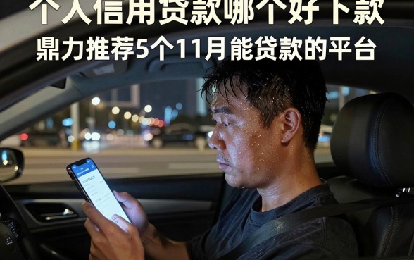 个人信用贷款哪个好下款,鼎力推荐5个11月能贷款的平台