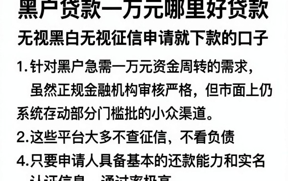 黑户贷款一万元哪里好贷款，归纳5个无视黑白无视征信申请就下款的口子