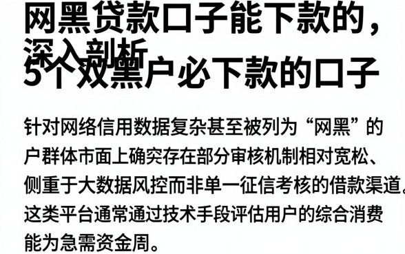 网黑贷款口子能下款的,深入剖析5个双黑户必下款的口子
