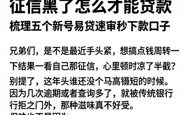 征信黑了怎么才能贷款，梳理五个新号易贷速审秒下款口子