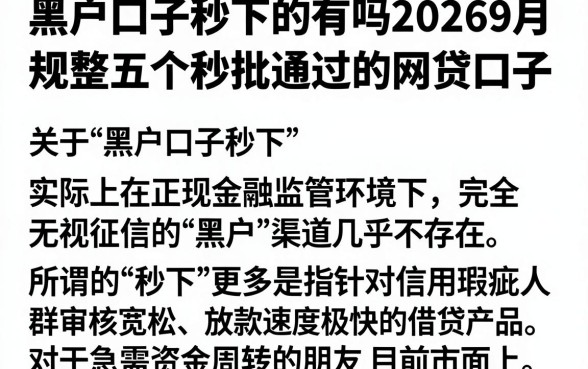 黑户口子秒下的有吗20269月,规整五个秒批通过的网贷口子