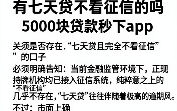 有七天贷不看征信的吗,陈列五个5000块贷款秒下app