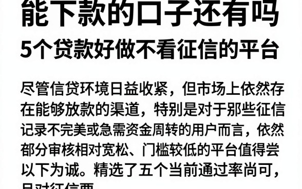 能下款的口子还有吗，深入剖析5个贷款好做不看征信的平台