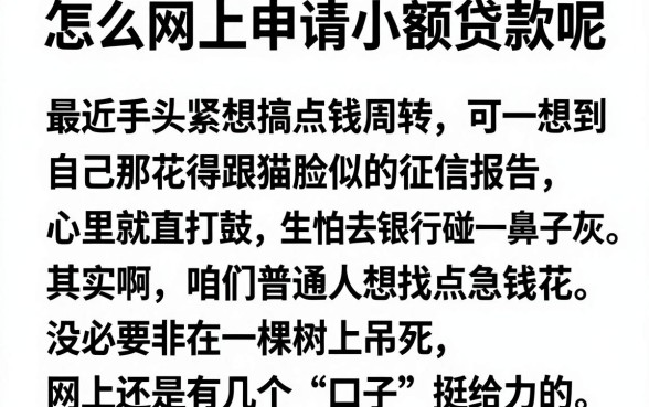 怎么网上申请小额贷款呢，细致阐述五个公积金借钱口子
