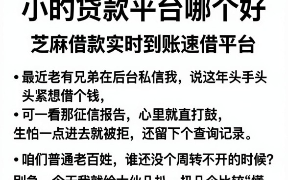 小的贷款平台哪个好,整理五个芝麻借款实时到账速借平台