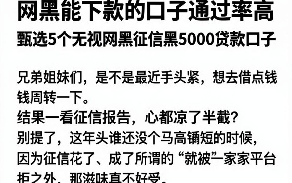 网黑能下款的口子通过率高,甄选5个无视网黑征信黑5000贷款口子