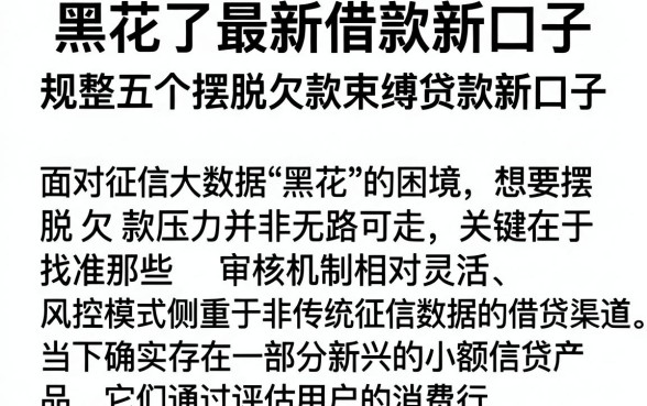 黑花了最新借款新口子，规整五个摆脱欠款束缚贷款新口子