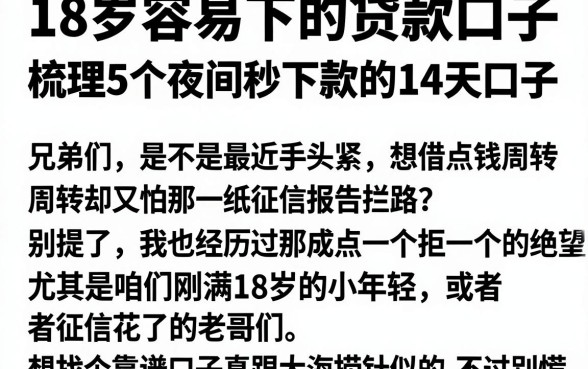 18岁容易下的贷款口子，梳理5个夜间秒下款的14天口子