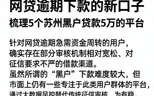 网贷逾期下款的新口子,梳理5个苏州黑户贷款5万的平台